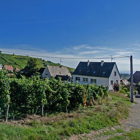 Gite Les Deux Belettes Riquewihr Bagian luar foto